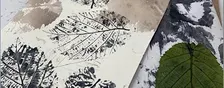 Natural ink leaf printing
