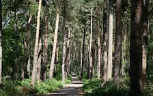 Good company, fresh air - NWT Broadland Country Park