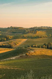 Life Clarity Retreat for Women in Tuscany : The Room For Your Next Chapter