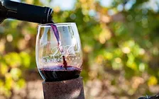 Season Opener Dry Creek Vineyards with Joe Czesnakowicz