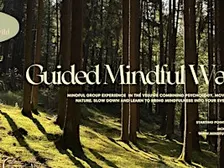 Guided Mindful Walk in the Veluwe
