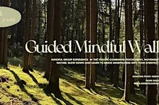 Guided Mindful Walk in the Veluwe
