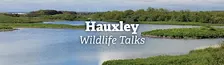Hauxley Wildlife Talks: Bird ringing for beginners