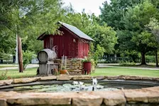 Through the Lens: A Morning at the Farm