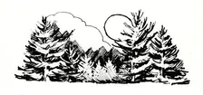Talk of the Town: Christmas Tree Farms