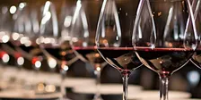 L'Expérience des Vins d'Espagne 26 Oct | Campagne European Wines from Spain