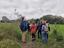 Balade dans les champs de Neerpede