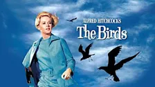 The Birds - Cult Classics