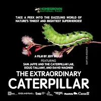 The Extraordinary Caterpillar Screening & Discussion