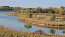 Steps with Dr Lexi & Spark Society: Buffalo Creek Nature Preserve
