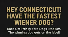 1st Annual Fastest Wiener Dog Race in Connecticut