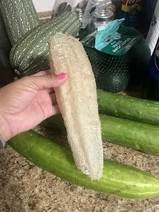 Loofah Harvest and Seed Saving Party
