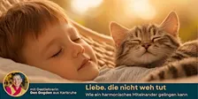 Liebe, die nicht weh tut