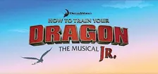 How to Train Your Dragon the Musical Jr.