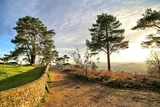 18km Hidden Surrey Hills - Canals, Woods, Sandy Trails, Medieval Churches