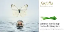 Duftende Süssgräser (*lu)