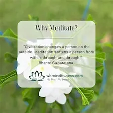A Day of Mindfulness Practice