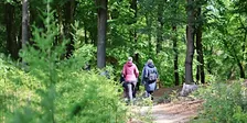Social & Stroll Wageningen met de Walk Club