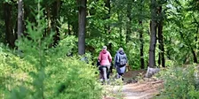Social & Stroll Wageningen met de Walk Club