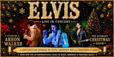 ELVIS at Christmas