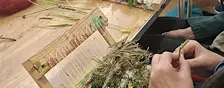 Norfolk Folklore, Weeds and Weaving, Halloween Special