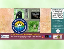 Wildlife & CT Changing Landscapes with DEEP’s Ginny Apple