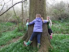 NWT Sweet Briar Marshes: Treemendous trees (family event)
