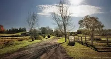 An Evening Under Harvest Skies - A 6 course vegan dinner in the countryside