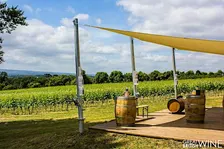 Run to Wine X Greyfriars Vineyard