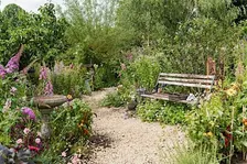 Attracting Wildlife to Your Garden – Gardening Workshop