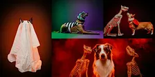Howl-O-Ween: Creative Dog Photography Workshop - Los Angeles