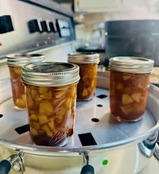 Midlands Fall Food Preservation Workshops