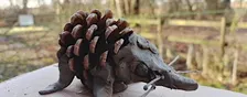 NWT Sweet Briar Marshes: Winter crafts for children (family event)