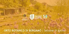 LA MAGIA DEL COMPOST: COME CREARE FERTILITA' DAI TUOI SCARTI