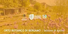 LA MAGIA DEL COMPOST: COME CREARE FERTILITA' DAI TUOI SCARTI