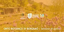 LA MAGIA DEL COMPOST: COME CREARE FERTILITA' DAI TUOI SCARTI