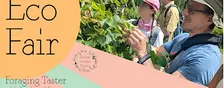 Eco Fair: Foraging Taster