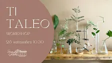 Ti Taleo