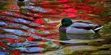 Master Your Camera Controls - Photography Workshop