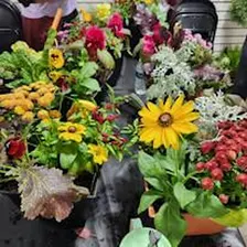Fall Porch Pot Workshop