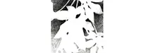 LET'S GET POSITIVE WITH NEGATIVE DRAWING:Saturday, November 7, 1:00-4:00pm