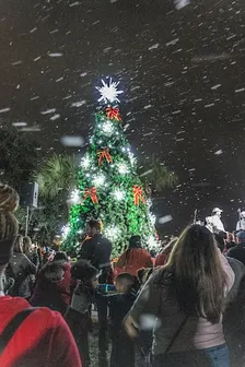 2026 Little Drummer Tree Lighting Experience in Oviedo