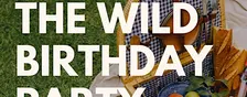 Born To Be Wild is turning one, let's celebrate !