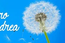 Caro Andrea | dieci anni dopo