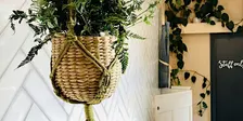 Macrame Plant Hanger Workshop at Number 85 Coffee & Kitchen, Cheltenham
