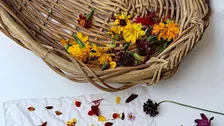 ACP BYOB: Natural Dyed Silk Scarves
