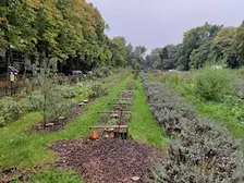 Les plantes mal-aimées