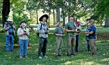 Arboretum Fall Migration Bird Hikes
