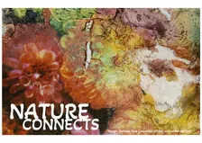 NATURE CONNECTS