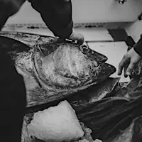 Tribute to our Fishery —A Photography Exhibit by ShutterSpeed